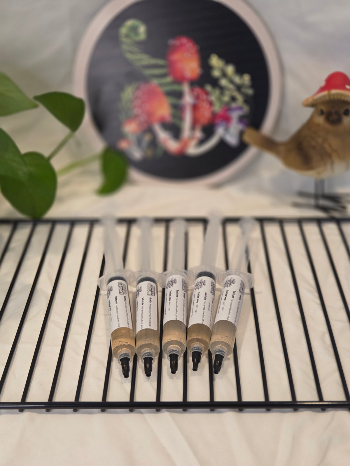 10mL Gourmet Liquid Mushroom Cultures