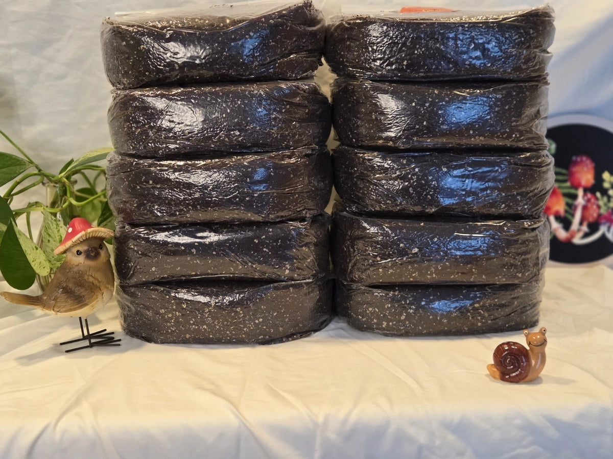 30 LBS Bulk Substrate Mushroom Grow Bag - Dung Lovers