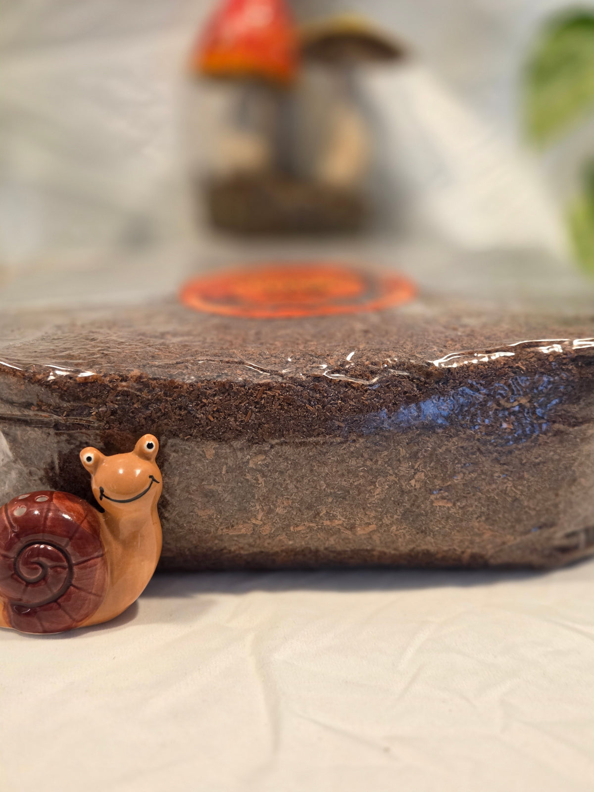 3LBS Wood-Lover Substrate