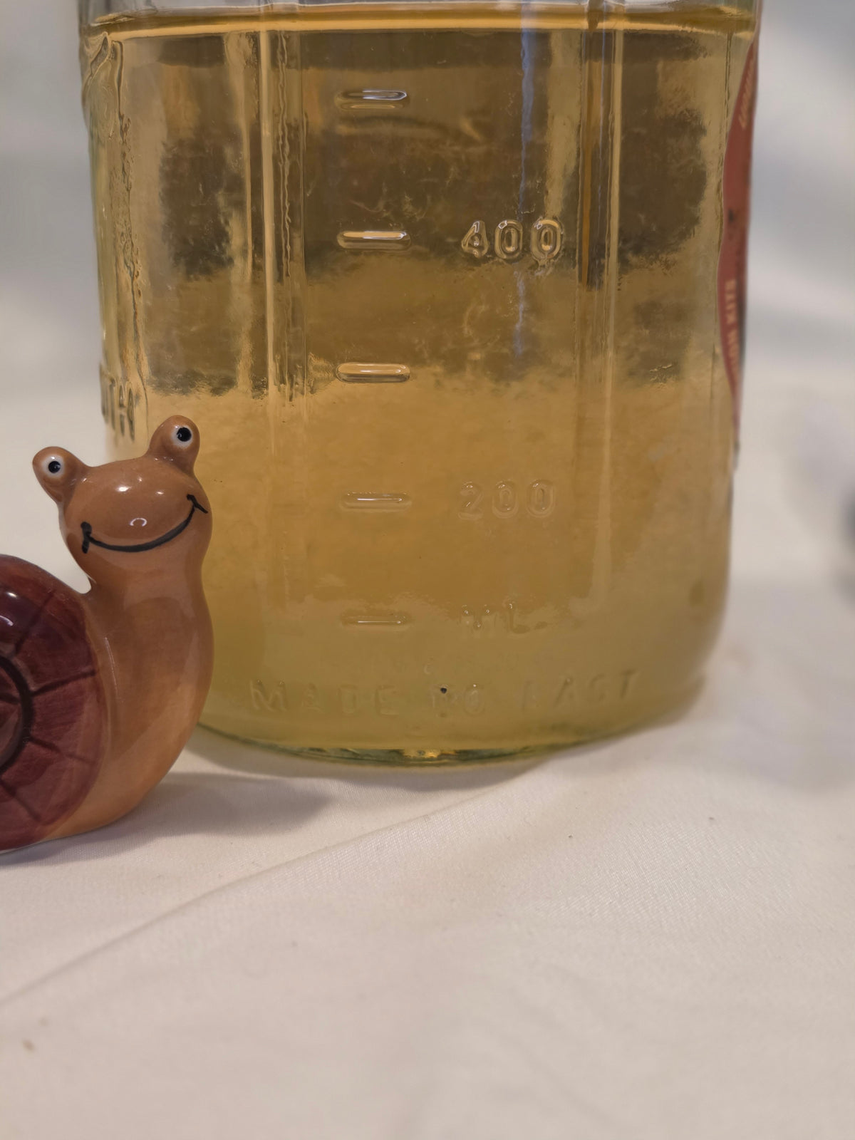 10mL Gourmet Liquid Mushroom Cultures