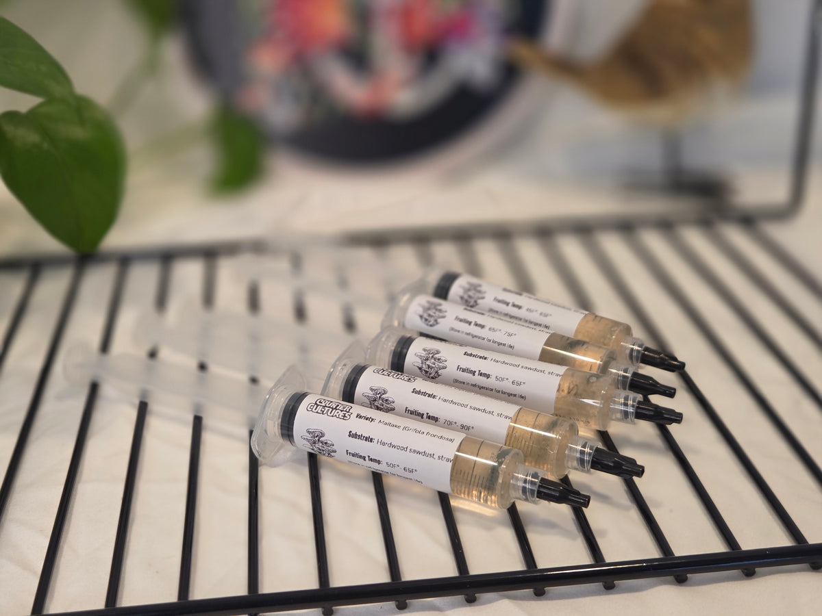10mL Gourmet Liquid Mushroom Cultures