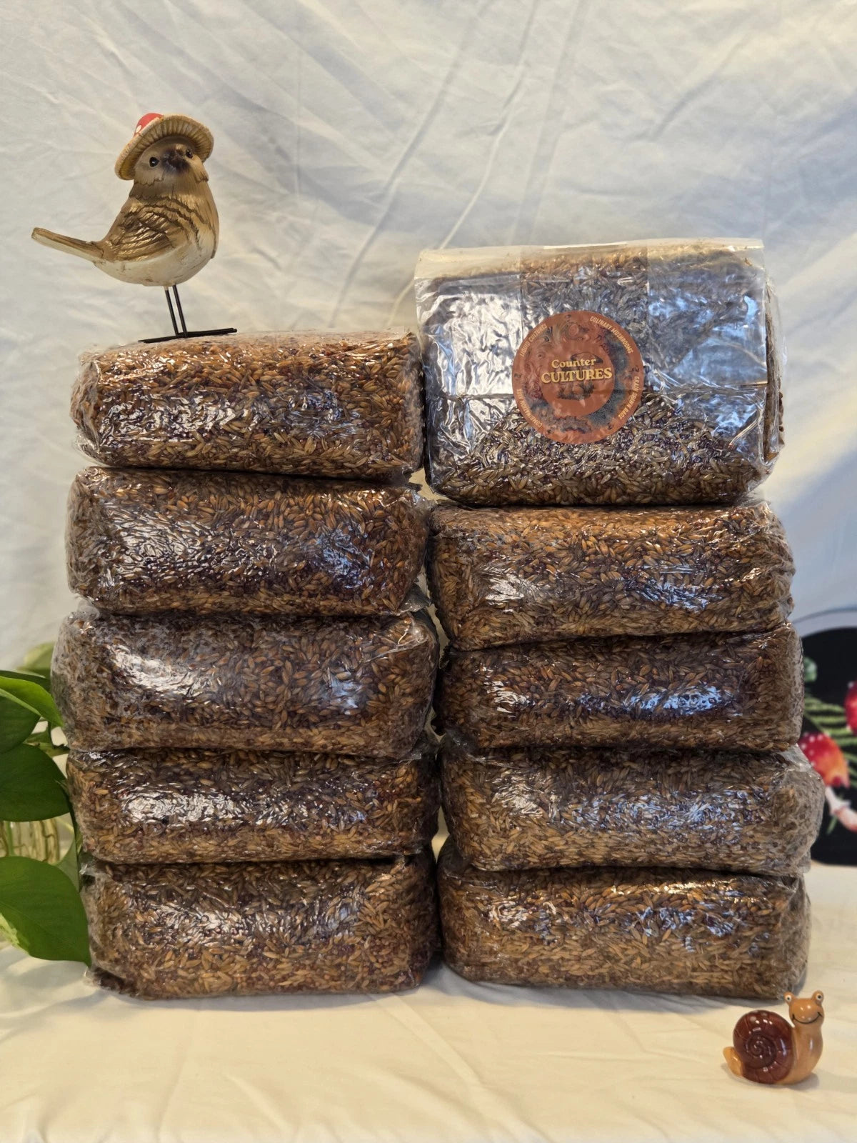 30 LBS Mushroom Mixed Grain Spawn Bag Sterilized with INJ Port