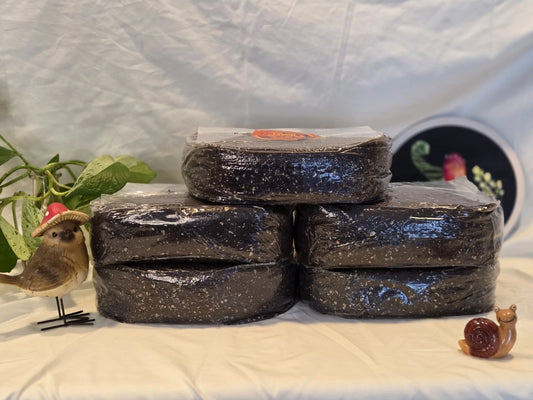 15 LBS Bulk Substrate Mushroom Grow Bag - Dung Lovers