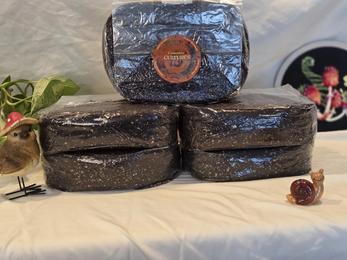 15 LBS Bulk Substrate Mushroom Grow Bag - Dung Lovers