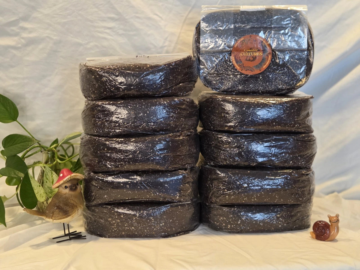 30 LBS Bulk Substrate Mushroom Grow Bag - Dung Lovers