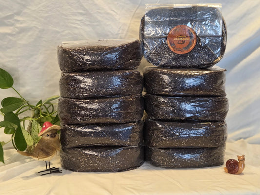 30 LBS Bulk Substrate Mushroom Grow Bag - Dung Lovers