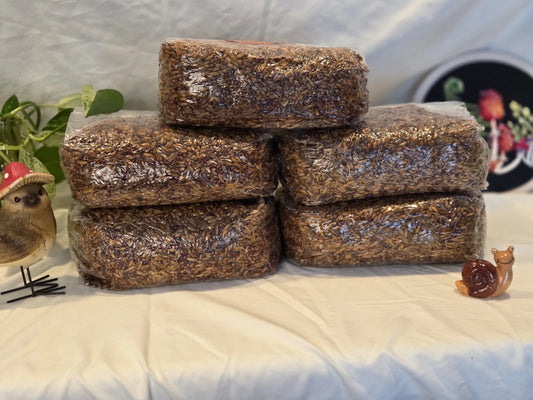 15 LBS Mixed Grain Spawn Bag Sterilized with INJ Port