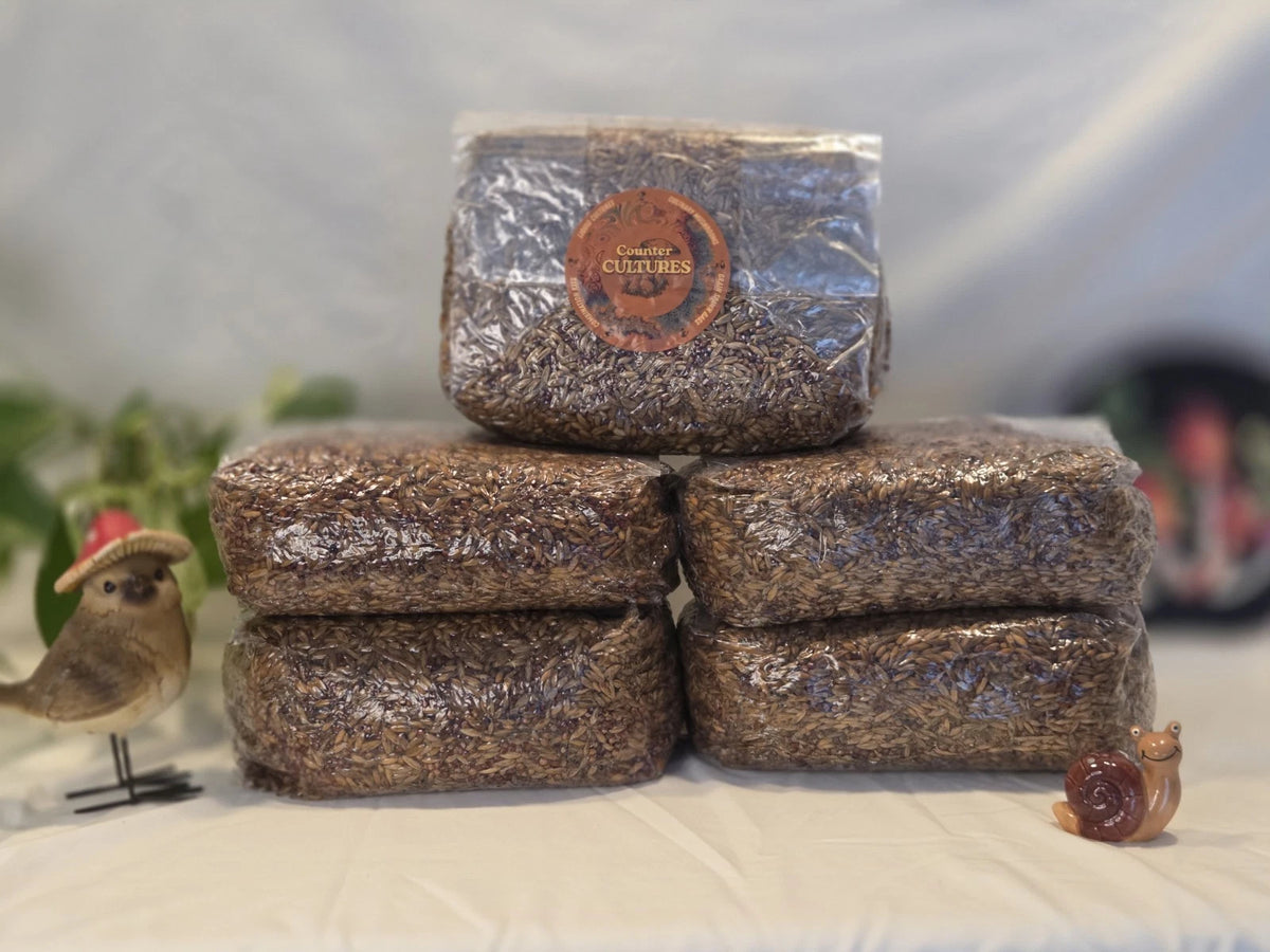 15 LBS Mixed Grain Spawn Bag Sterilized with INJ Port