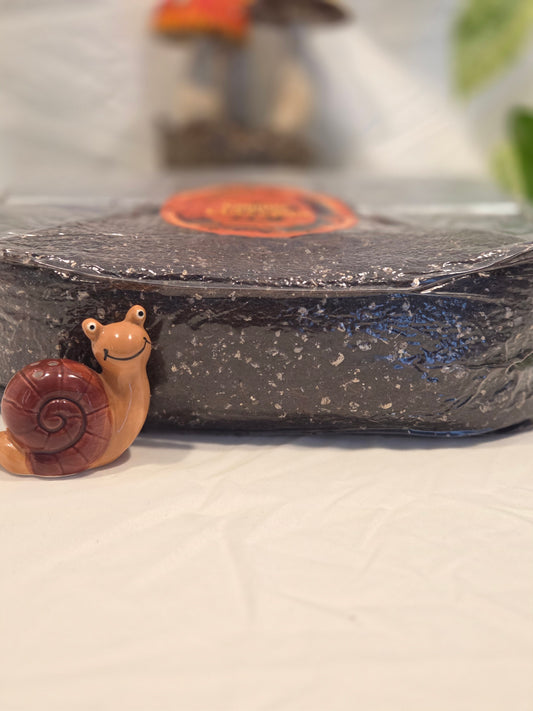 3lb Dung-Lover Substrate