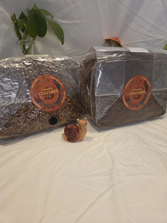 3lb Gourmet Grain And 3lb Wood-Lover Substrate Bundle
