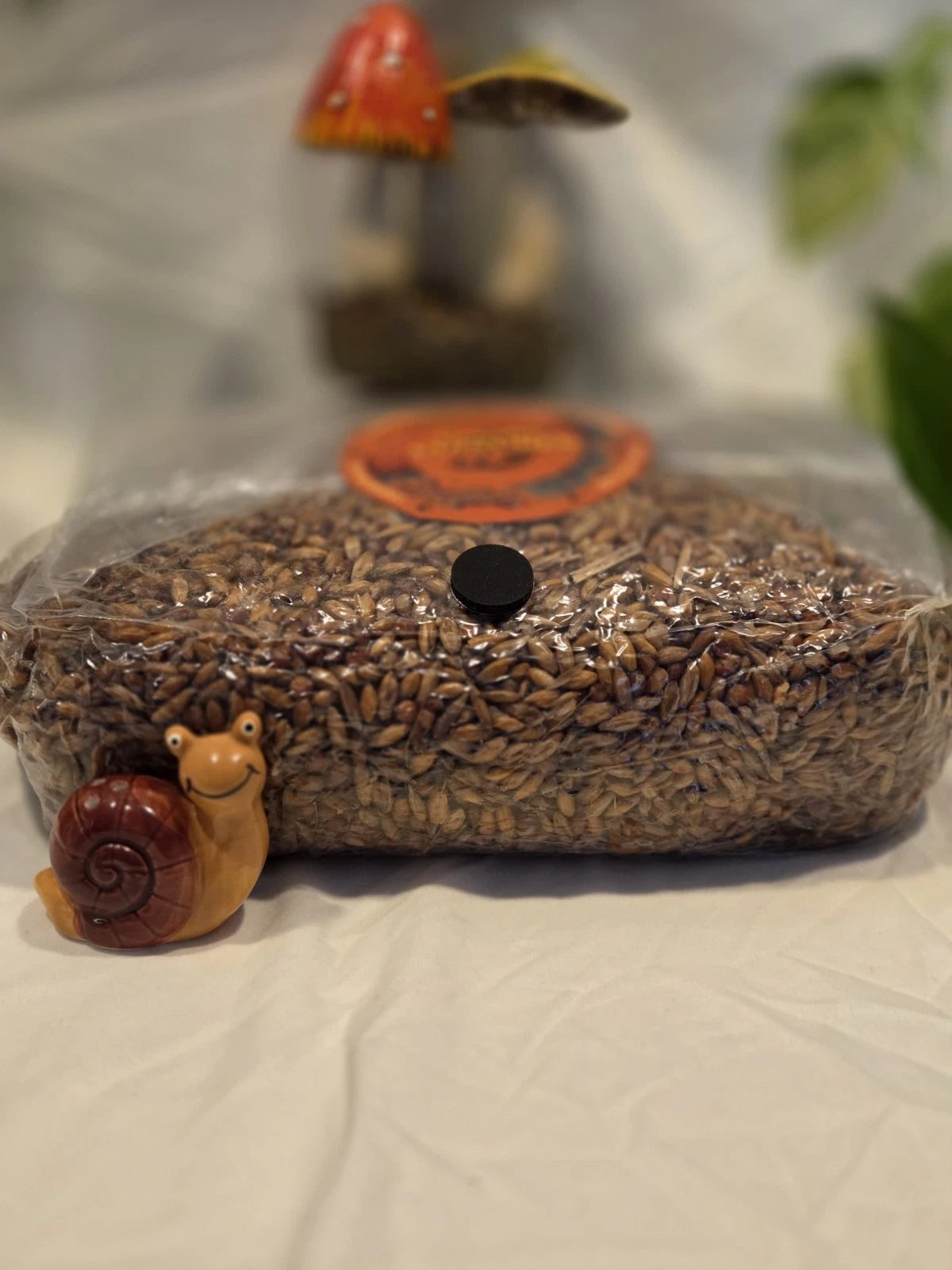 3lb Gourmet Grain And 3lb Wood-Lover Substrate Bundle