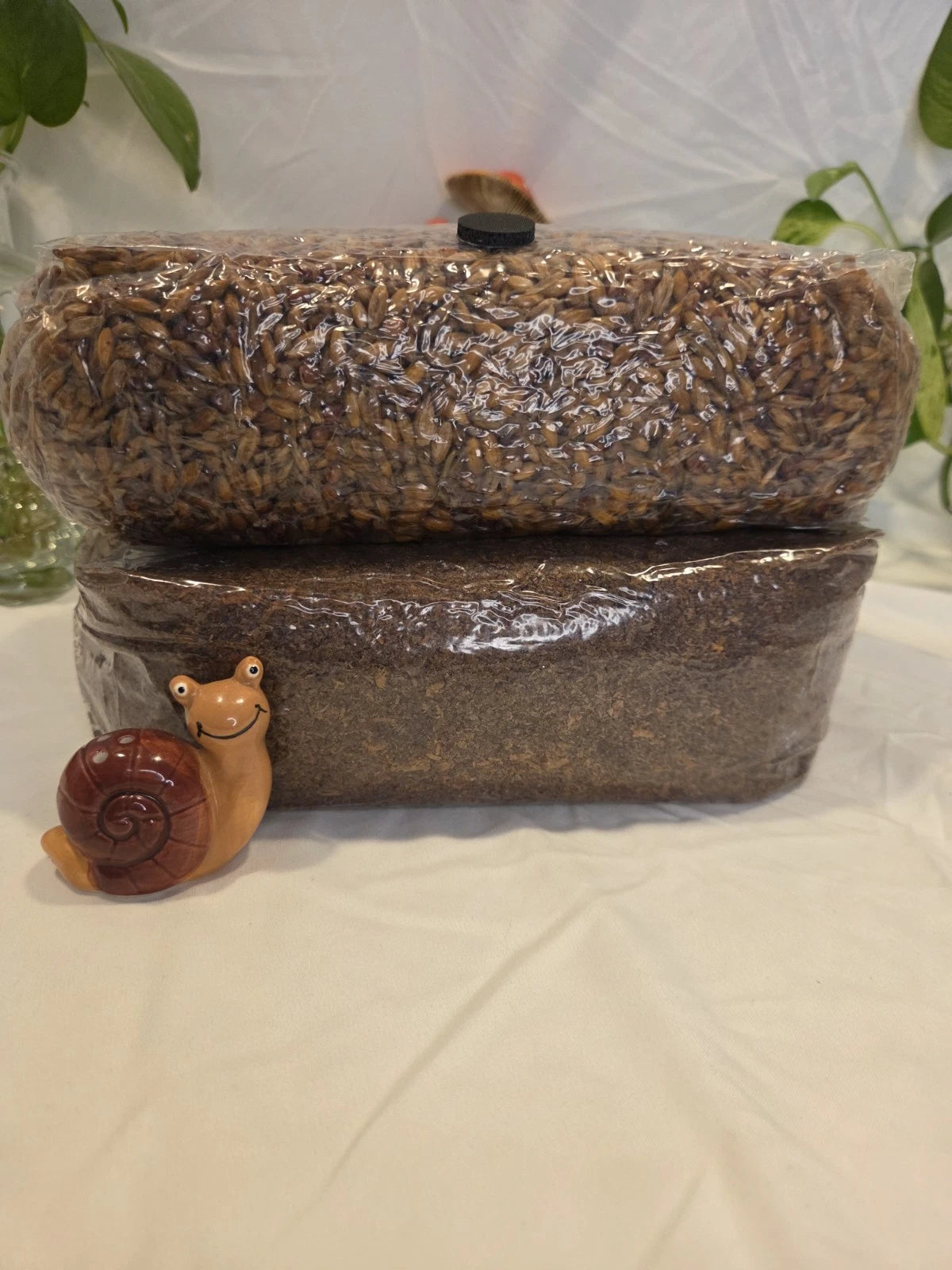 3lb Gourmet Grain And 3lb Wood-Lover Substrate Bundle