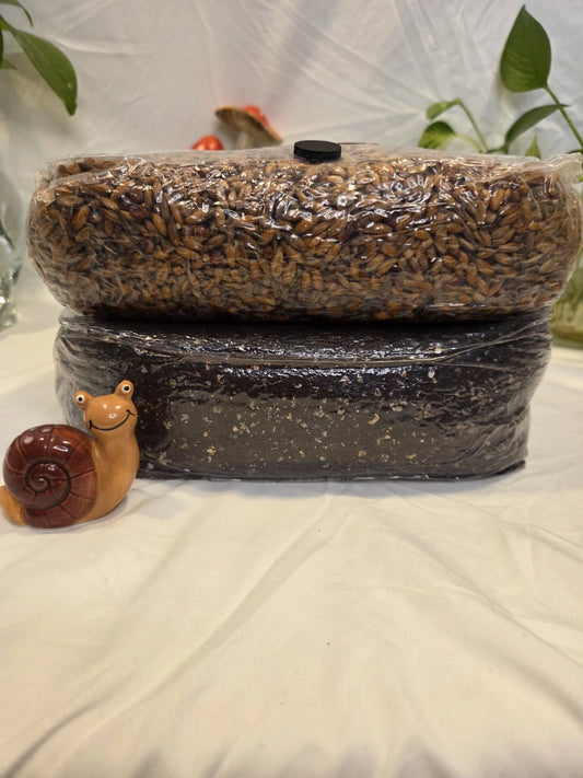 Monotub Refill Kit